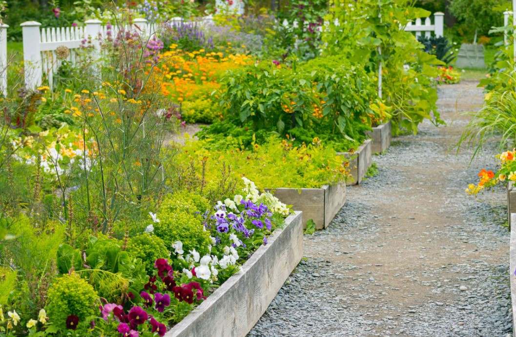 5-Tips-from-Experienced-Urban-Gardeners