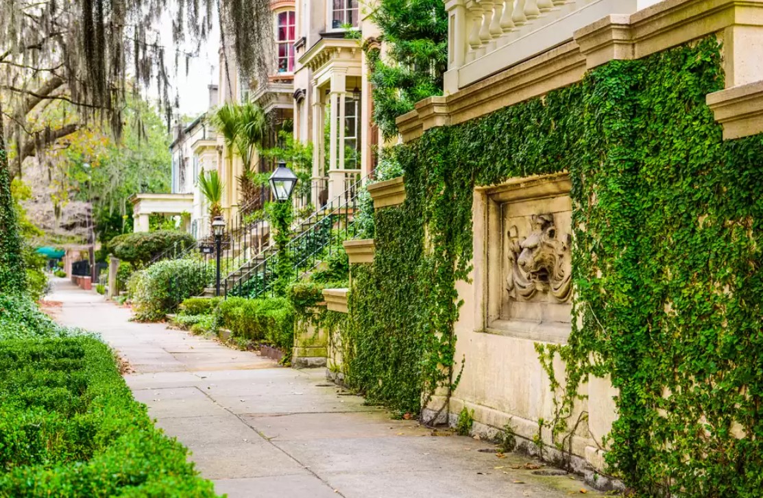 Importance-of-Exploring-Beautiful-Neighborhoods